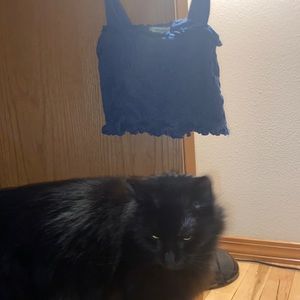 American eagle size xs tube top (cat not included) like new